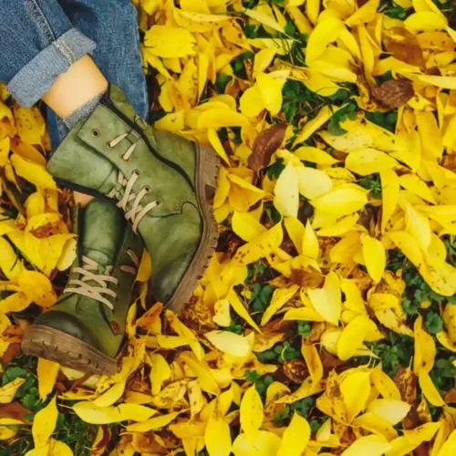otoño-invierno