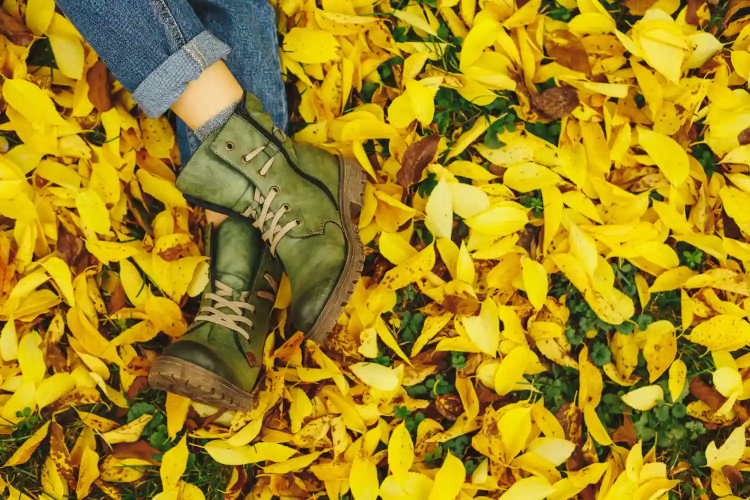 otoño-invierno