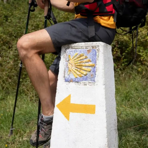 Camino de Santiago