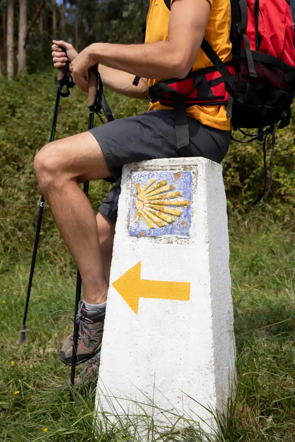 Camino de Santiago